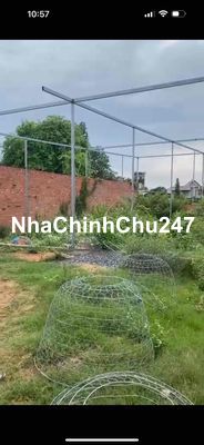 Chính Chủ bán 546m2 Thổ Cư Bình Chánh , DT 15x39 , SHR , XD Tự Do
