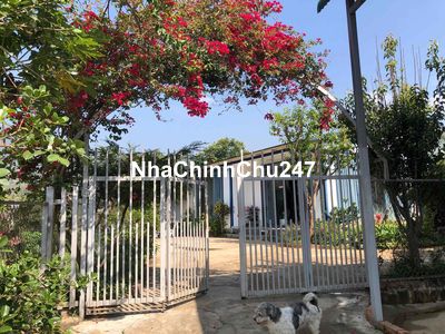 bán nhà vườn nghĩ dưỡng chính chủ
