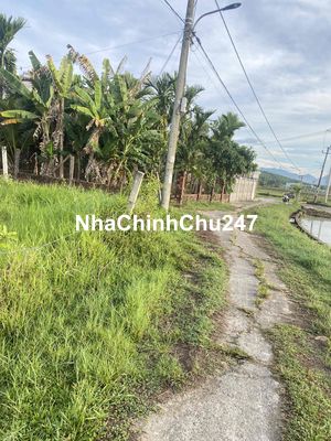 Tôi chính chủ bán có hồ sơ quy chủ