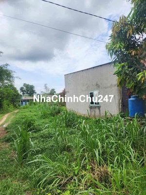 Nhà chính chủ cần bán gấp