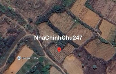 🔥 CHÍNH CHỦ BÁN ĐẤT ĐẸP  ĐỨC TRỌNG | GIÁ ĐẦU TƯ CHỈ 2,9 TRIỆU/M2 🔥