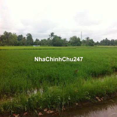 HẠ GIÁ SỐC CHÍNH CHỦ BÁN 900TR/1000MV