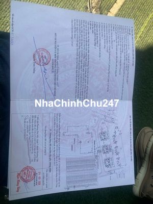 Chính chủ cần bán chung cư Đ115 Phú Mỹ, quận 7