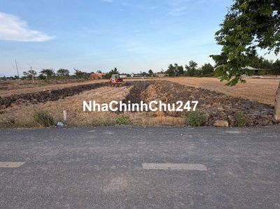 Chính chủ đăng bán 1000m2 (2 sổ 500m2) đường liên tỉnh Mỹ Lệ - Tân Lân
