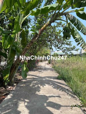 Chính chủ cần bán nhà vườn tâm huyết đang cho trái