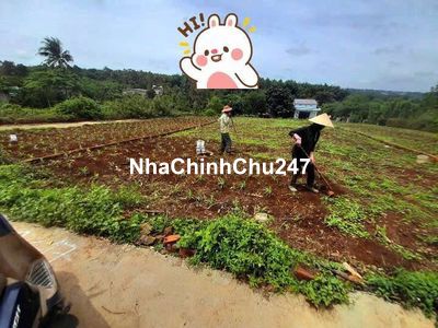 bán đất chính chủ