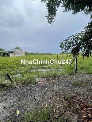 🌳 CHÍNH CHỦ BÁN 330m2 ĐẤT MẶT TIỀN GẦN HƯƠNG LỘ 2 TRẢNG BÀNG 🌳