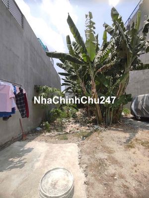 CHÍNH CHỦ BÁN ĐẤT THỔ CƯ 90M² - ĐƯỜNG TX24 QUẬN 12 - SỔ HỒNG RIÊNG XÂY