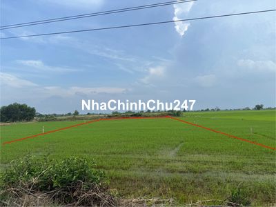 CHÍNH CHỦ BÁN ĐẤT MẶT TIỀN QL22B
