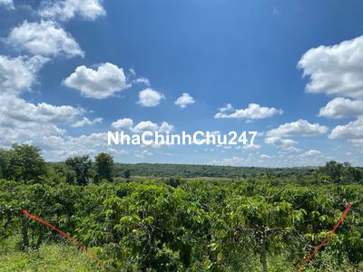 [Chính chủ] Cần bán 3000m đất vườn có sẵn 200m ONT