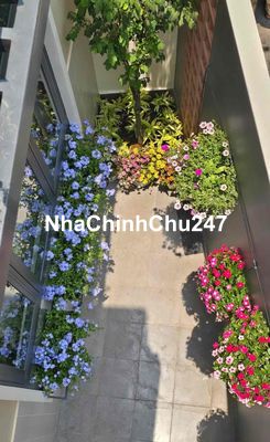 🔥 HOT BÌNH THẠNH – CHỦ GIẢM NGAY 520TR