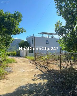 [CHÍNH CHỦ]lô đất vị trí cực đẹp nằm trong lòng thôn Nam Yên