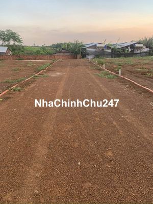 Chính chủ bán 1000m2 đất Trung Hoà, Trảng Bom. SHR, 2MT hiện hữu.