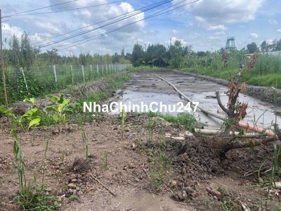 Chính chủ Bán 2 nền liền kề đất An Bình Cần Thơ 580m2 (nền),đường ôtô 