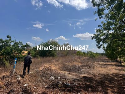 📢 CHÍNH CHỦ CẦN BÁN ĐẤT NÔNG NGHIỆP TIỀM NĂNG ĐẦU TƯ 🌴🏝️