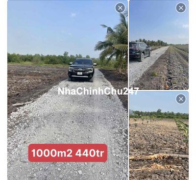 Còn hai lô chủ xả 440tr 1lô dt 1000m2 Tân Thành, Thủ Thừa