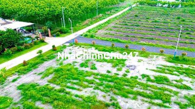 Chủ cần tiền bán gấp nền đất sát KCN Minh Hưng 3