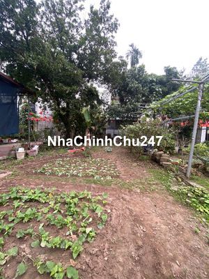 Đất chính chủ 65m. Tdp Phượng bãi Hà đông cũ