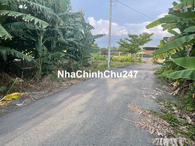 Đất vườn Bình Chánh chính chủ