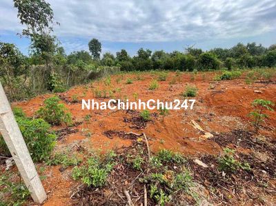 CHỦ KẸT BÁN 1 SÀO ĐẤT ĐỎ BAZAN
