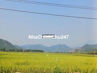 [CHÍNH CHỦ]BÁN ĐẤT TRỒNG CÂY VIEW CÁNH ĐỒNG thôn Nam Yên xã HÒA BẮC , 