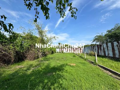 Chủ ngộp bán gấp đất 300m2 CLN ngay X.An Tịnh Trảng Bàng Giá 815 triệu