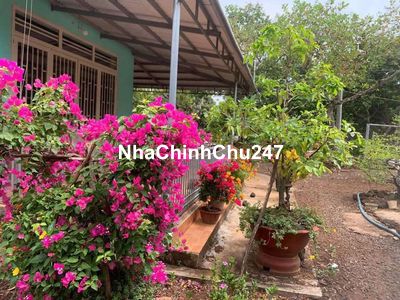 Chủ cắt lỗ bán nhà và vườn diện tích hơn 1 sào