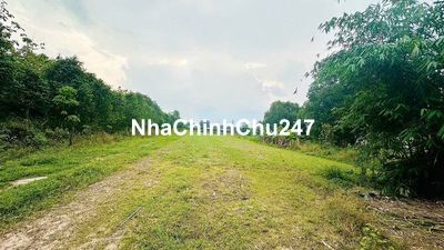 Đất vườn 5000m² 2 sổ riêng chính chủ - An Nhơn Tây Củ Chi - 6,8 tỷ TL
