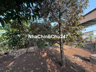 Chủ cần bán đất 1000m2
