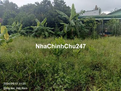 🔥 Chính chủ cần bán gấp đất 2 MT Tỉnh lộ 761 – Phú Lý, Vĩnh Cửu,ĐN