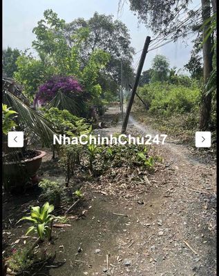 Hàng Thơm! Chính Chủ Bán 2 Lô Liền Kề tại Ấp 9 Cầu Gia Miệng Bến Lức