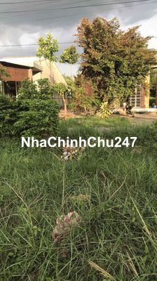 chính chủ bán đất chà là dương minh châu, 1tỷ3 thương lượng